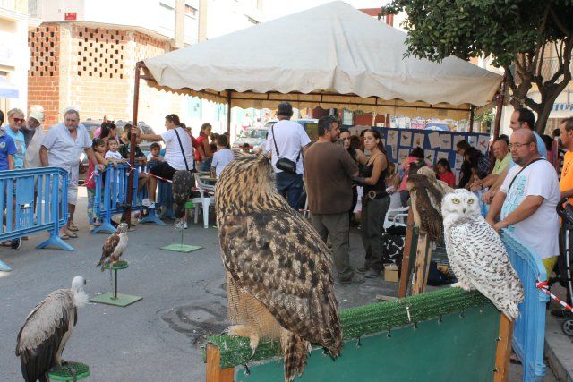 Más de un centenar de niños participa en las actividades del Día Mundial de las Aves