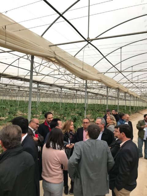 Grupo Durán muestra la tecnología y técnicas que le han convertido en el primer productor de papaya de Europa