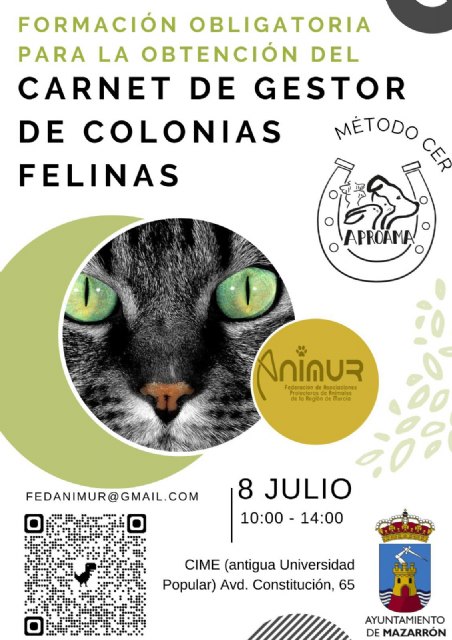 ¿Quieres ser gestor de colonias felinas?