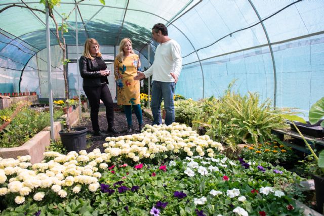 Un millar de plantas ornamenta accesos, avenidas y cascos urbanos