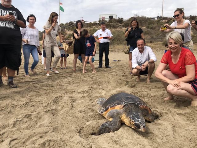 Liberada una tortuga boba que fue hallada hace dos semanas enredada en plástico y basura marina en Mazarrón