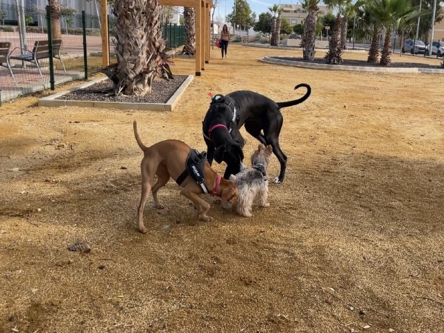 Puerto de Mazarrón estrena la primera área de esparcimiento canino del municipio