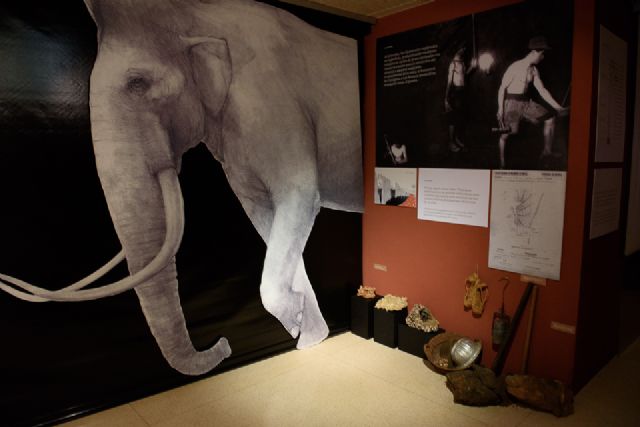 La exposición sobre Cueva Victoria podrá verse en la Factoría Romana hasta el 16 de abril