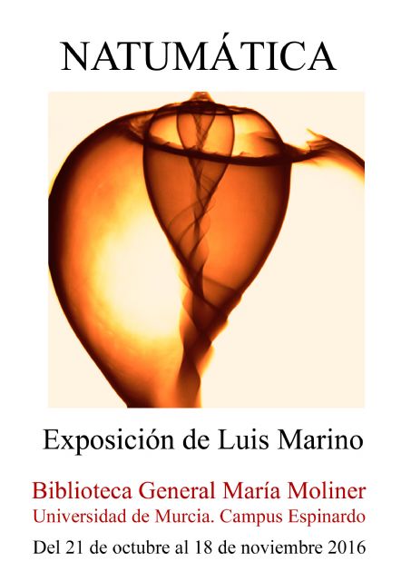 Luis Marino expone en la biblioteca María Moliner de la Universidad de Murcia