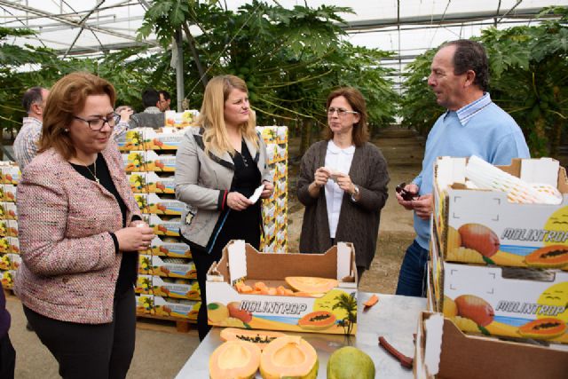 IMIDA y Ayuntamiento colaboran con productores agrícolas en la mejora de los cultivos tropicales