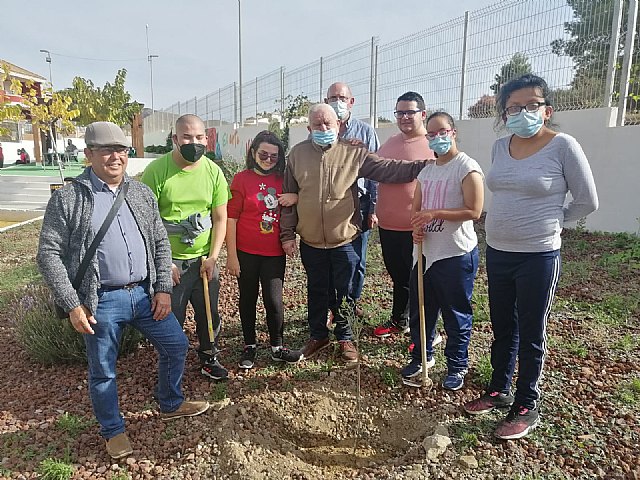 Los usuarios del centro de día de personas con discapacidad celebran el día internacional del olivo