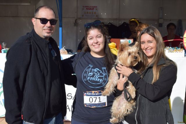 Un centenar de dueños con sus perros participan en la II marcha 'Por ellos' de APROAMA