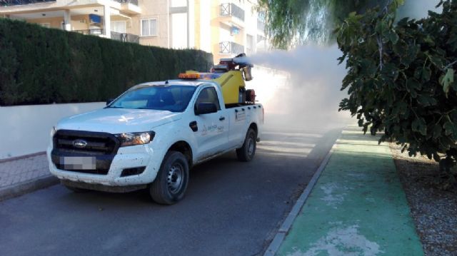 El ayuntamiento actúa para frenar la habitual proliferación del mosquito tigre tras el verano