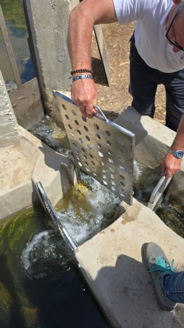 La CHS mejora y amplía el hábitat de la cerceta pardilla en la rambla de Las Moreras