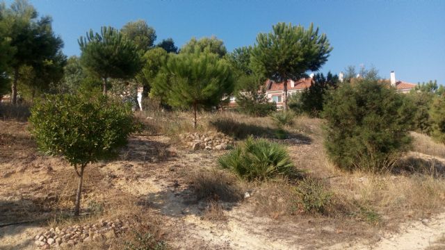 ANSE y el Ayuntamiento de Mazarrón ponen en marcha un curso para integrar la biodiversidad en centros educativos